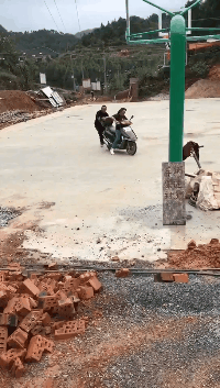 搞笑gif开心一刻:主人,你这地擦的也太假了,我都看不