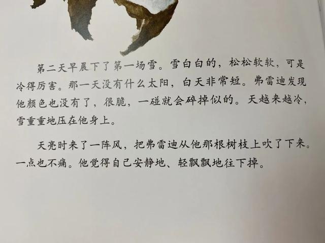 『上观新闻』家里的自然课（二十五）︱从自然绘本中读出生命存在的意义