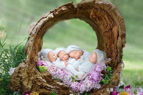 「你的育儿经」孕妈生下4胞胎，宝爸看到孩子后，兴奋直呼：欠的“情债”该还了