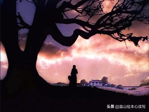 超级宝妈@《花婆婆》新阅读：一个女人的史诗再聊聊绘本中的作文启蒙