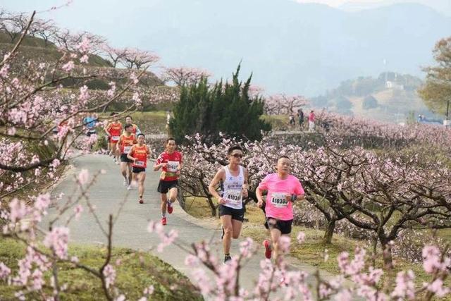 「旅行柚子君」“天下第一桃园”惊艳回归,在桃花盛开的地方遇见泼墨人家