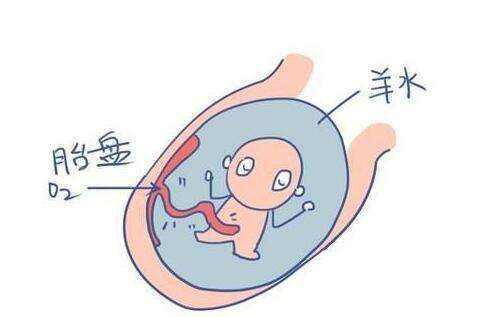 「你的育儿经」羊水是胎儿的宝，但是太多也一样有危险