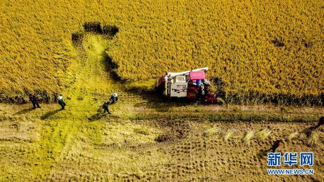 黄少安：2020山东经济怎么看？2021山东经济怎么干？