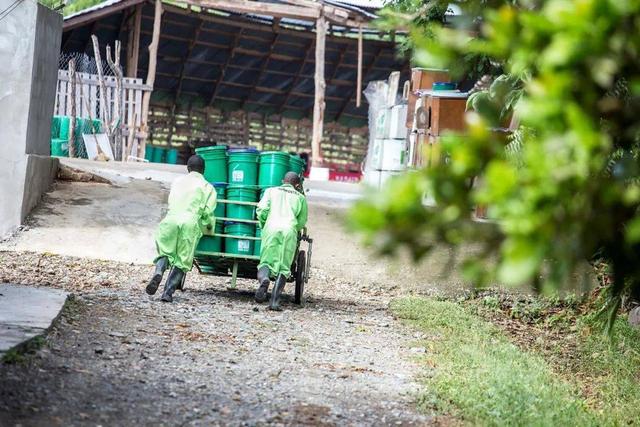 为什么欧洲的麦当劳颜色是绿色的？