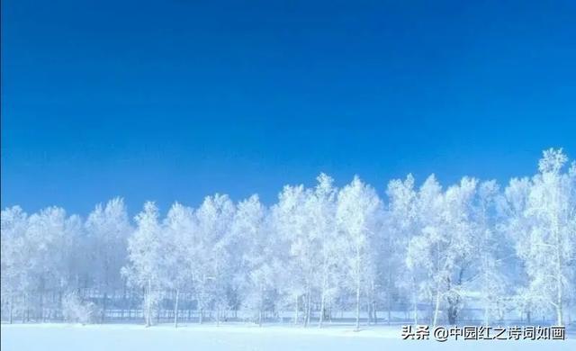 三九天，围炉煮茶静待梅花开