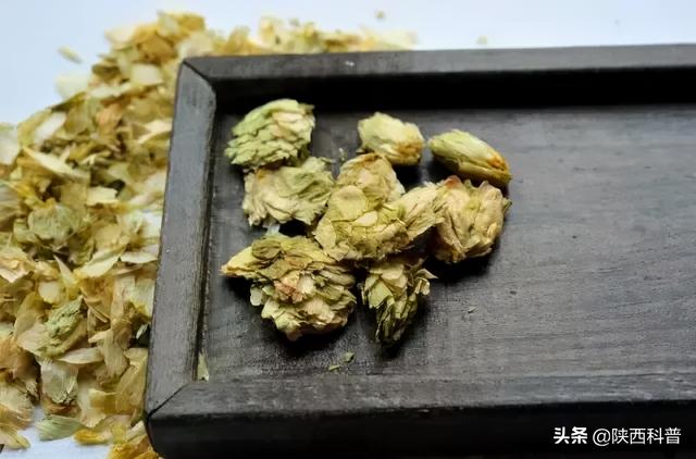 为什么啤酒瓶大多是绿色的？啤酒肚是喝啤酒喝的？