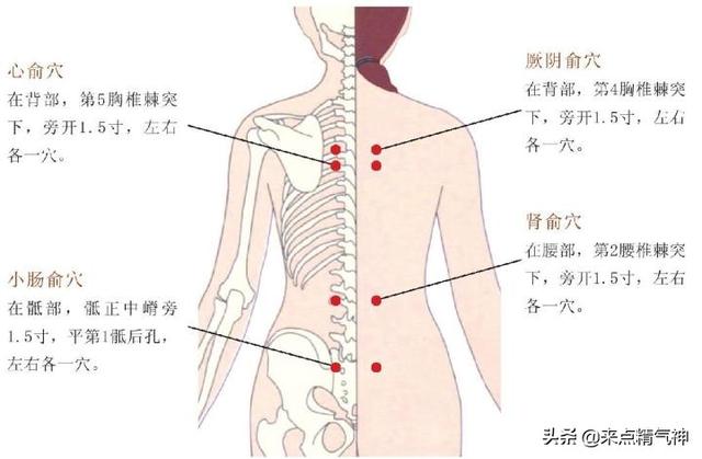 心悸！种种原因导致心失所养，心神不安而发病！拔罐治疗图解