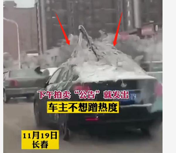 吉林一轿车“头顶”树枝上路，成网红车，全网通缉车主