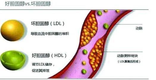 哪些情况下，他汀可以隔日服用一次？哪些他汀适合隔日服用？