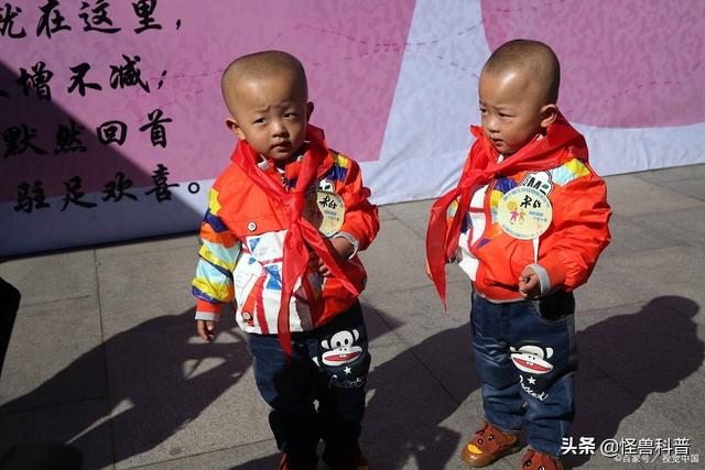 「你的育儿经」双胞胎同母不同父,原来真的存在科学道理