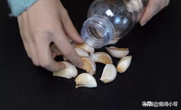 你的育儿经■吃了30年的大蒜，才知道大蒜上有个小“机关”，三秒就剥好