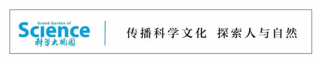 肠道中的免疫帮手，到了大脑却成了引发严重疾病的“元凶”