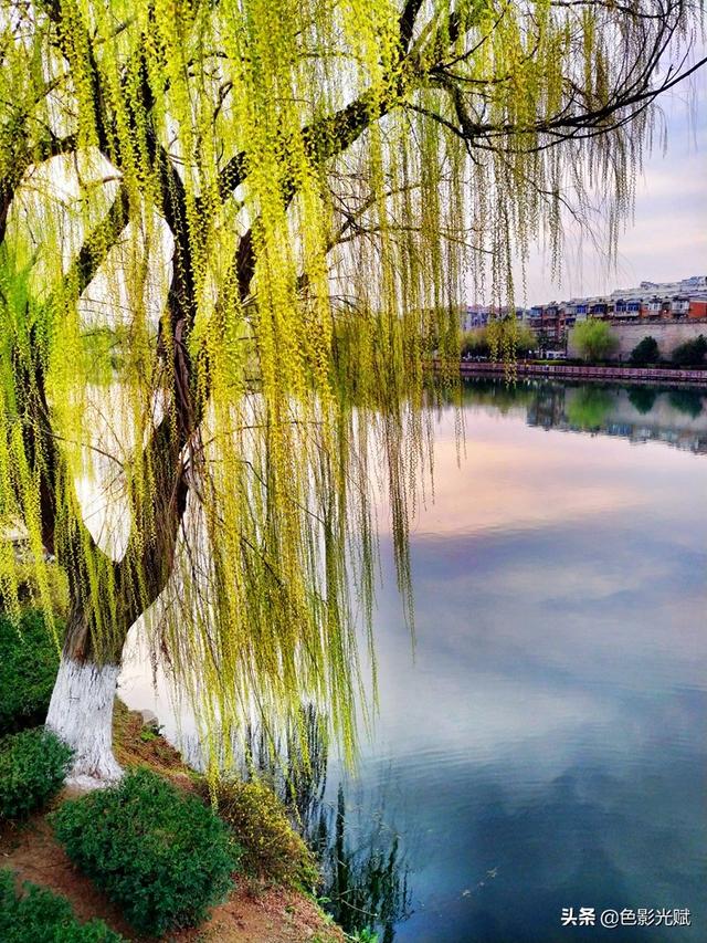 玩乐足迹@“疫”去春来 古城春色新