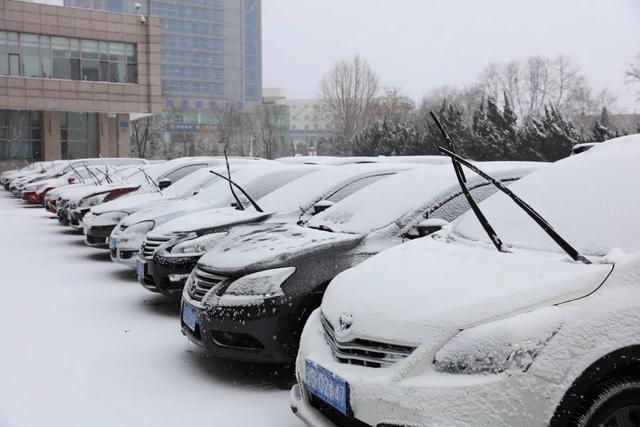 定格！雪中海大