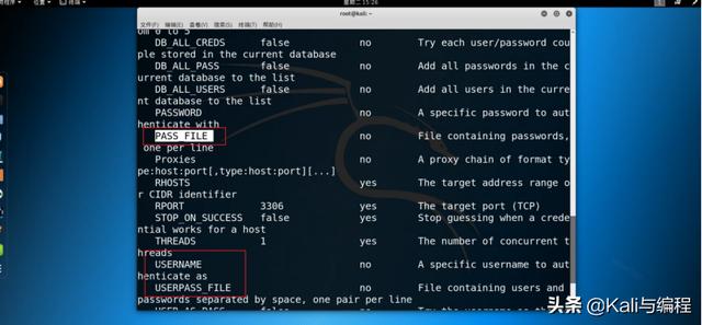 白帽黑客教Kali Linux：原来数据库的密码能这样被攻陷