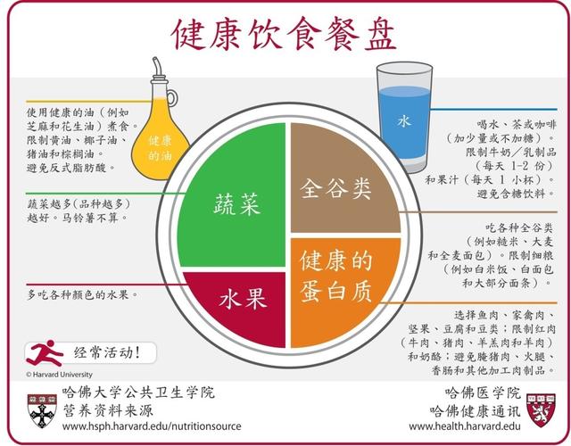 健康零距离：哈佛大学医学院的健康餐盘，快来对照一下，你的饮食搭配合理吗？