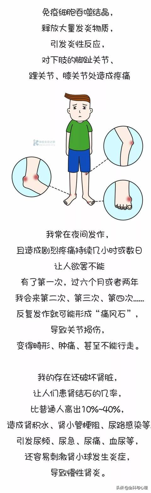 一份“痛风”的自我认罪书，看完知道尿酸高的原因