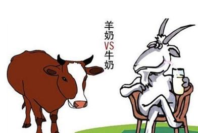 『你的育儿经』羊奶粉和牛奶粉，哪个更好？奶粉喂养看完这些就足够了