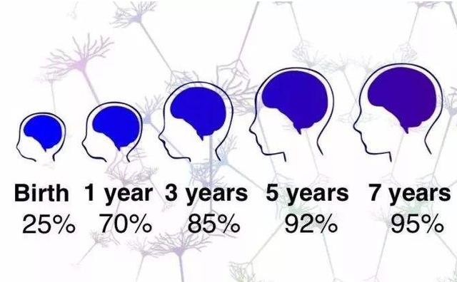 斯坦福大学研究发现：促进孩子的大脑发育，父母坚持这5种方法