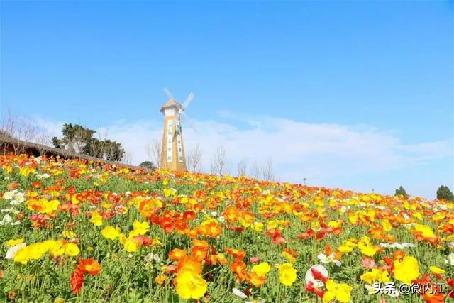 【旅行百事通】内江人，游内江！