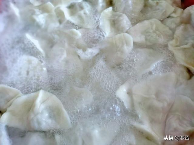 冬至吃饺子我家就爱这馅，1把泡一锅，比白菜馅香，比三鲜馅鲜