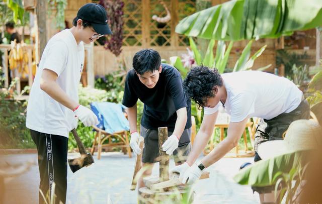 流年絮语|何炅黄磊《向往的生活》如此美好，明星都想留下，我却一点不羡慕