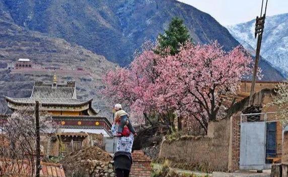 「旅行百事通」今年五一连休5天!推荐西宁周边5个最佳旅游地,总有一处适合你