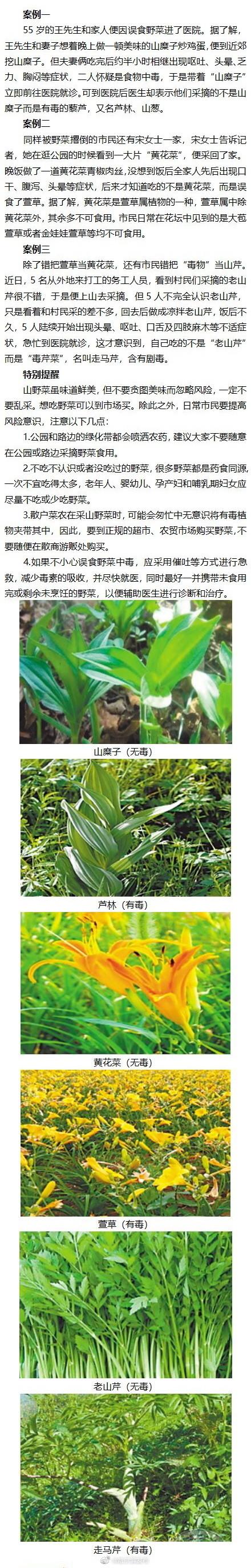 市民|省疾控中心提醒：误食这些野菜有生命危险