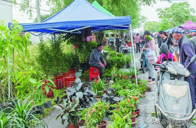 旅行百事通▲通州十总镇：骑岸的五总庙会