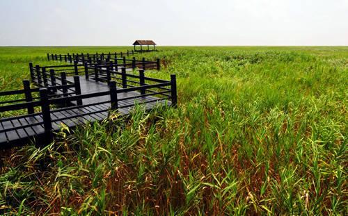上观新闻|藏太深,原来《微微一笑很倾城》等热门影视剧取景地都在这些公园里