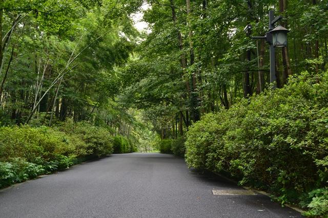 「趣旅游」游走杭州，法云安缦酒店、法镜寺