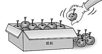 「超级宝妈」被“烂苹果定律”腐蚀的孩子，坏习惯越来越多，家长要会“隔离”