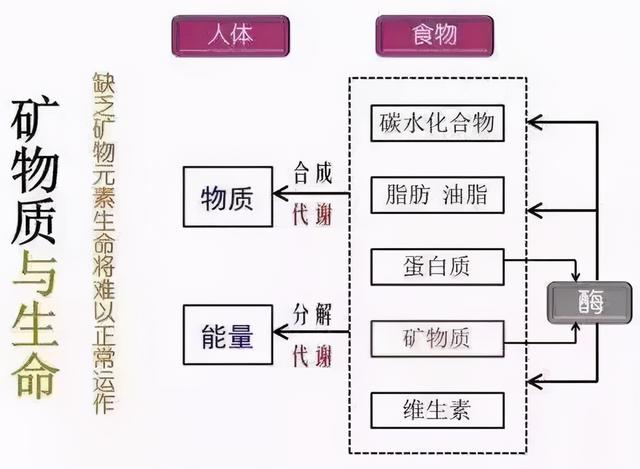 找到自愈癌症的神秘钥匙：他治愈了20多个癌症案例