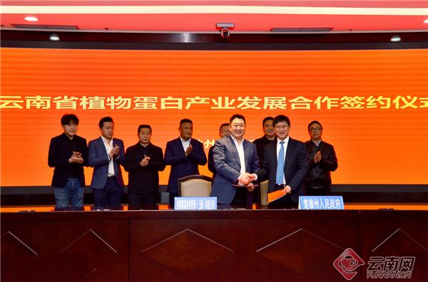 云南省植物蛋白产业发展合作研讨会在楚雄举行