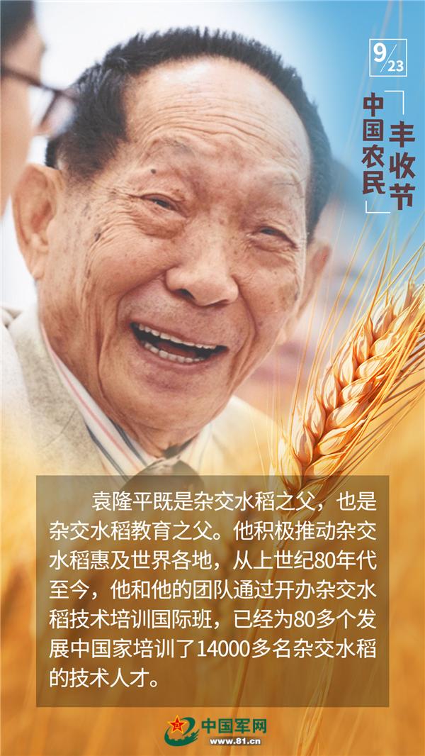 海报中国农民丰收节人们为何纷纷忆起袁隆平