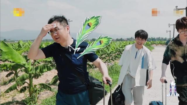 末言雨|知道有客人来还午睡,还把门反锁,蘑菇屋首次“不迎客”