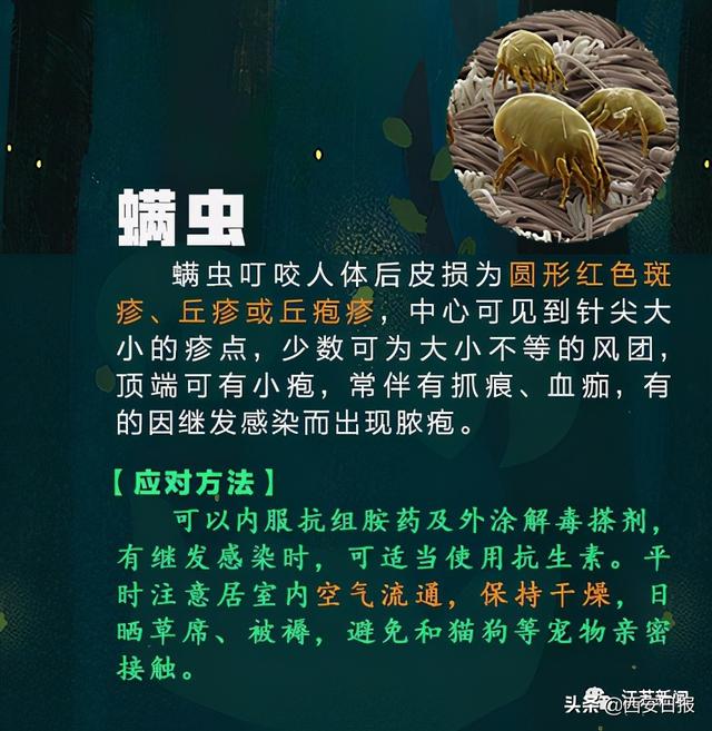 蜈蚣|被这种虫子咬一口，女子窒息身亡！被咬后千万别这样做