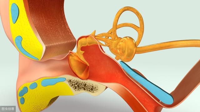 耳鸣|反复头晕伴耳鸣耳聋就是脑子病？医生：未必，也可能是耳“积水”