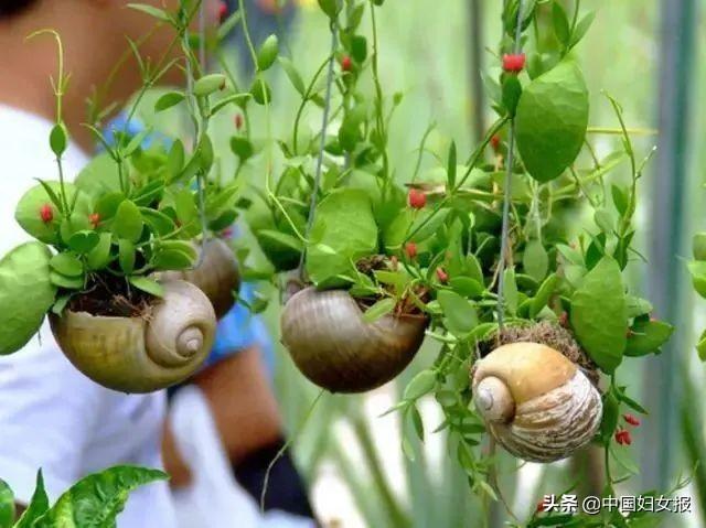中国妇女报：特殊时期 特别家教 | 战“疫”动起来（四十一）