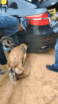 搞笑gif:妹子,你去洗洗脚可好