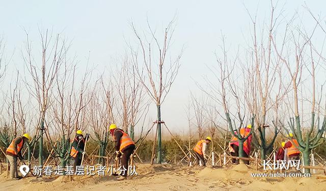 临空|廊坊临空经济区：乘“机”腾飞