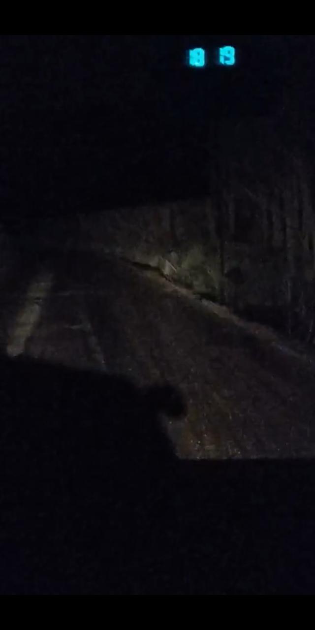 #约吗旅行#广州出发2小时到达,两天玩转荔波大小七孔,白领周末任性游攻略