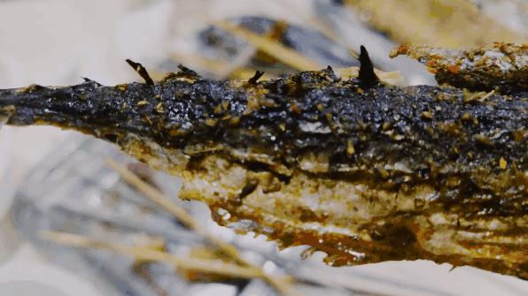 烧烤|最莱斯的美食之夜一定是：凌晨，雨夜，小烧烤