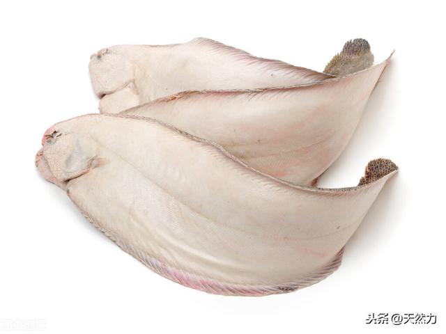 什么鱼刺少好吃，为什么鱼会那么多刺，什么鱼的刺少