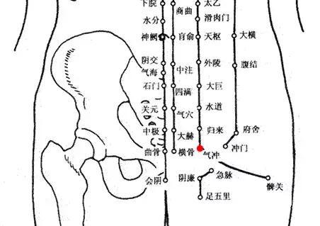 腰部保养专业知识