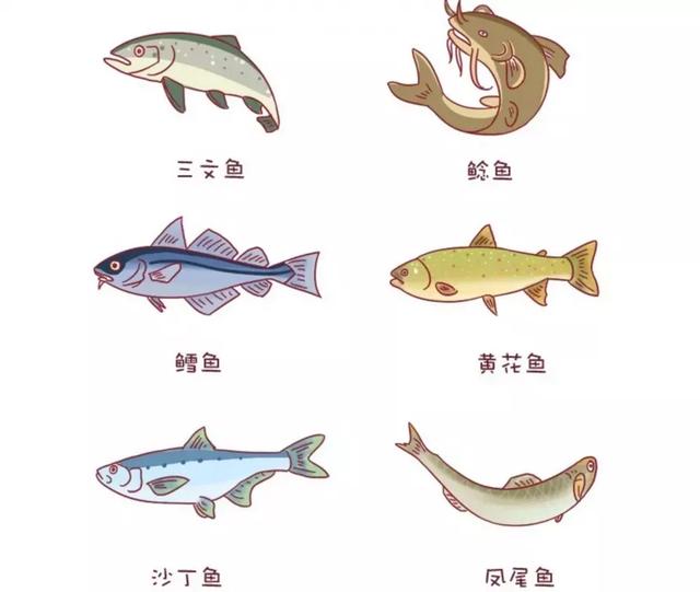 你的育儿经|不是所有的鱼吃了都能让宝宝变聪明,这几种鱼是黑名单,你知道吗
