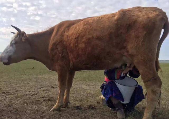 3种牛奶是无营养的"假牛奶"，很多老人喜欢给孩子买，赶紧转发