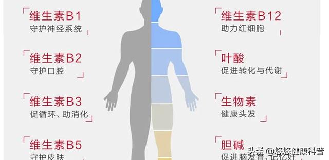 超级宝妈：补充复合维生素能显著降低妊娠期发生不良风险？