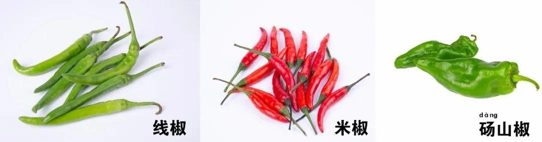 【上观新闻】家里的自然课(二十三)|解锁超好玩的蔬果拓印画!(上)