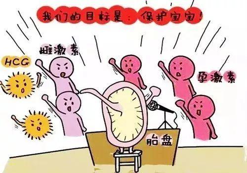 你的育儿经|孕育新生命那些默默奉献的无私“小伙伴”